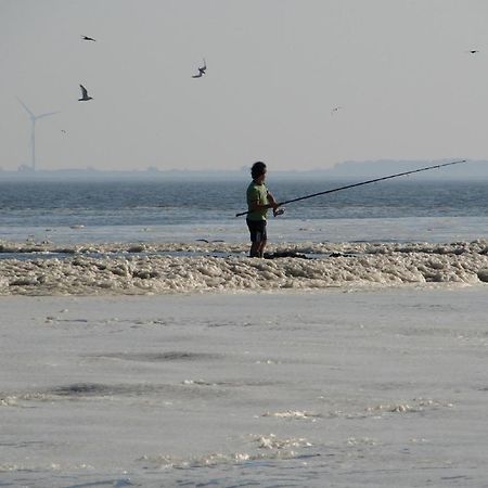 Do'S Chalets Baarland 外观 照片