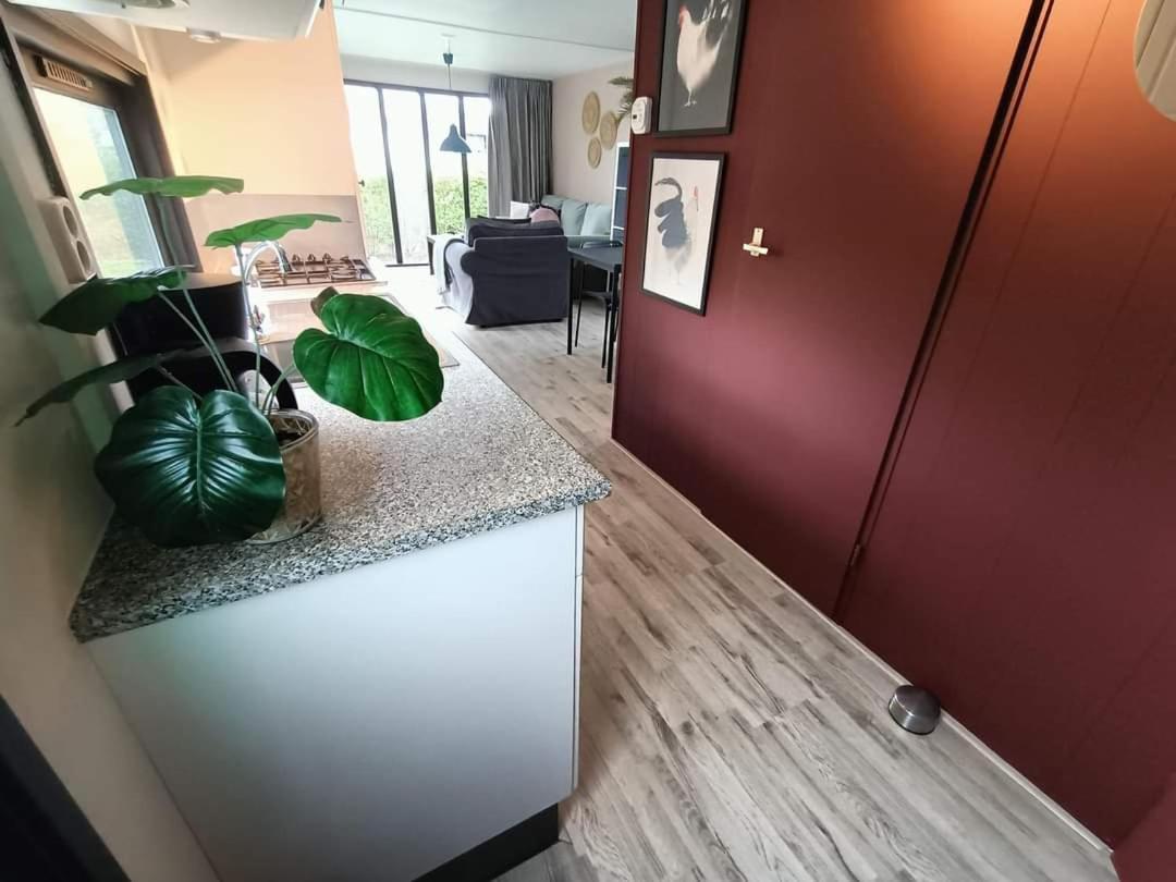 Do'S Chalets Baarland 外观 照片