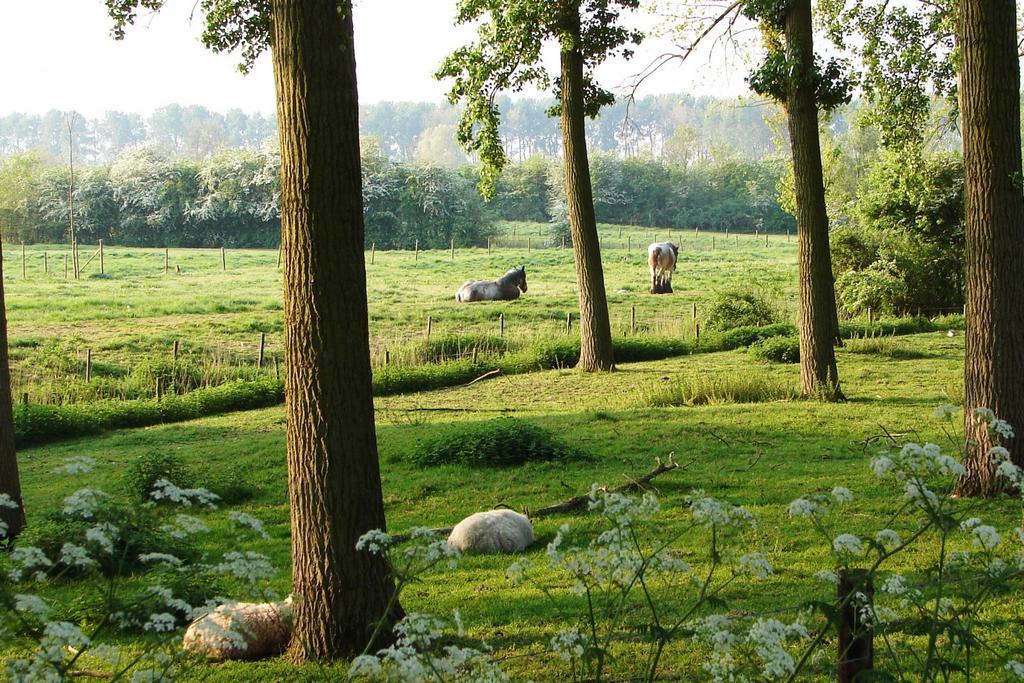 Do'S Chalets Baarland 外观 照片